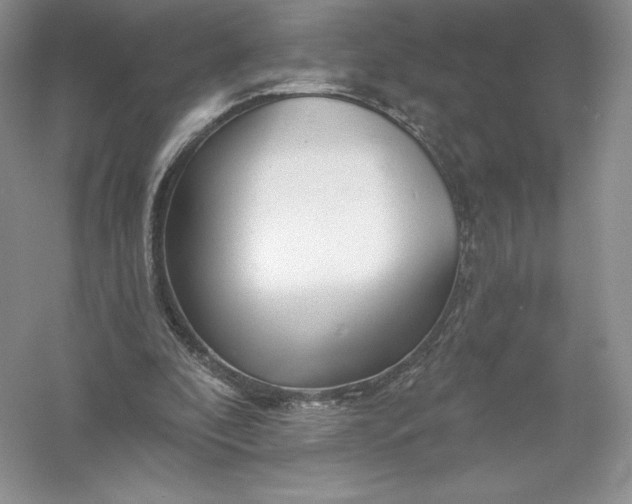 X0000055990296200509092027