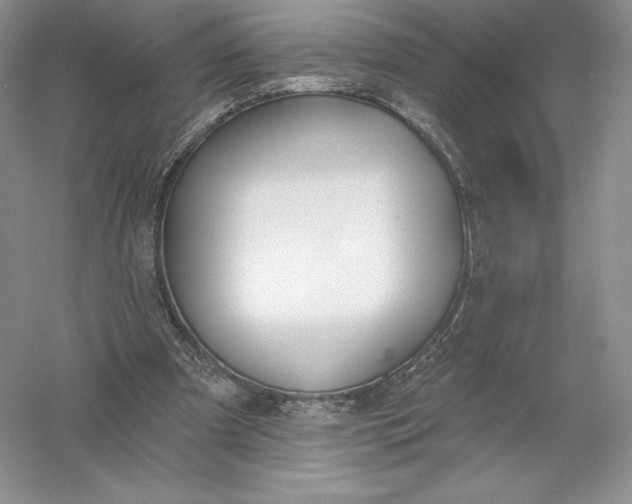 X0000055990297200509092027