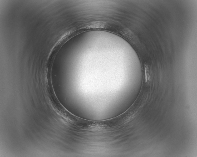 X0000055990300200509092027