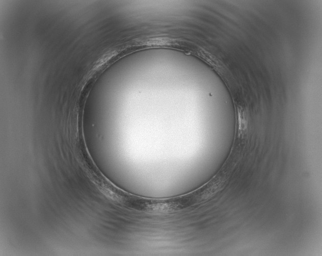 X0000055990301200509092026