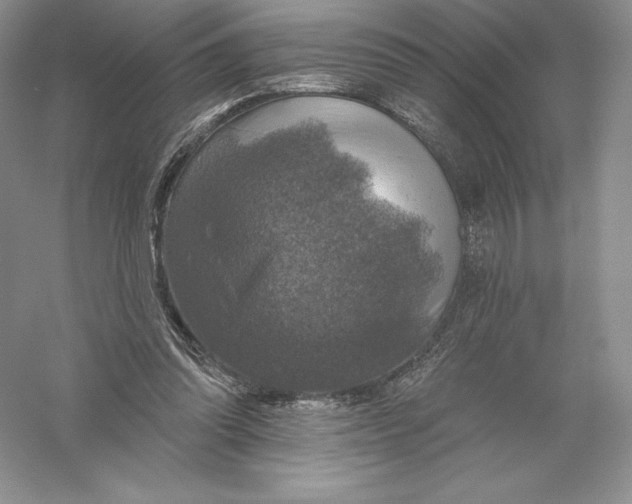 X0000055990302200509092026