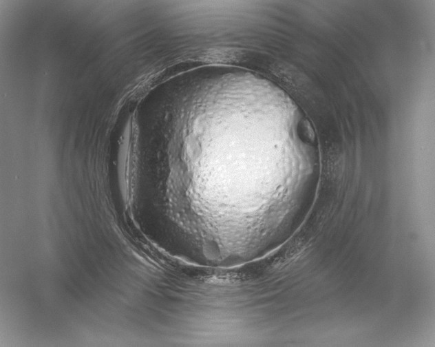 X0000055990303200509092026