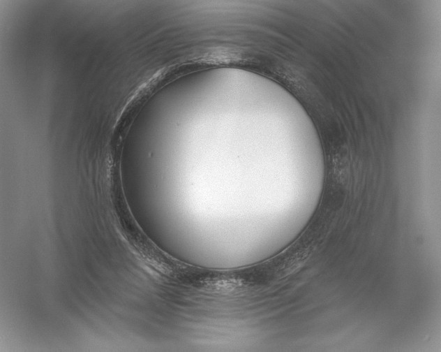 X0000055990304200509092026