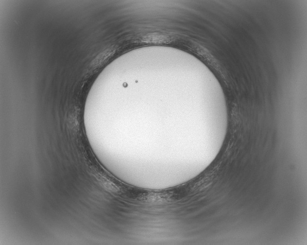 X0000055990305200509092026