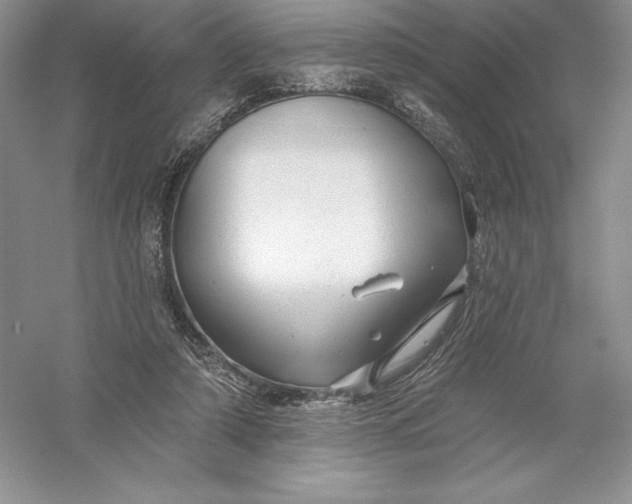 X0000055990306200509092026