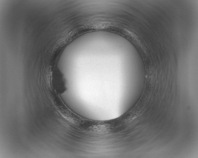 X0000055990307200509092026