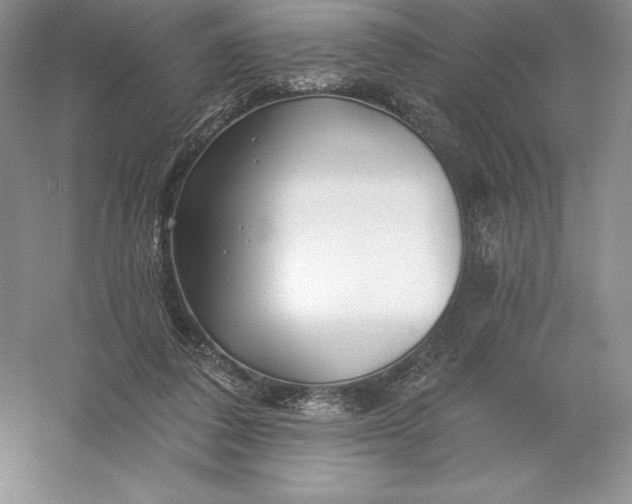 X0000055990308200509092026