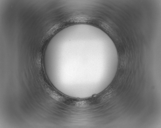 X0000055990309200509092026