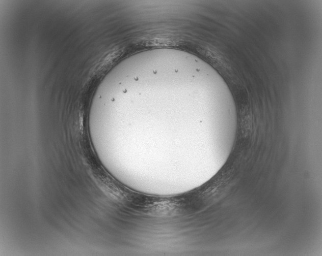 X0000055990310200509092026