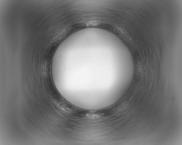 X0000055990311200509092026