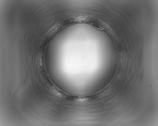 X0000055990313200509092026