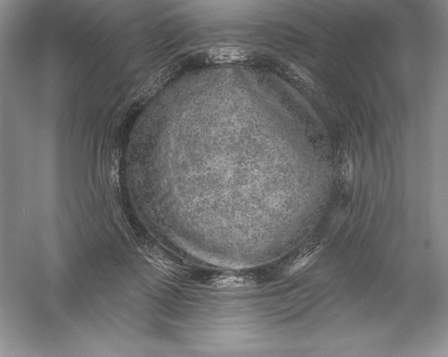 X0000055990315200509092026