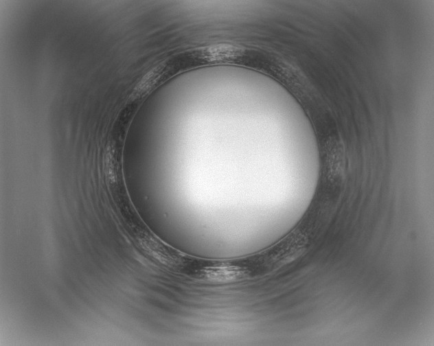 X0000055990316200509092026