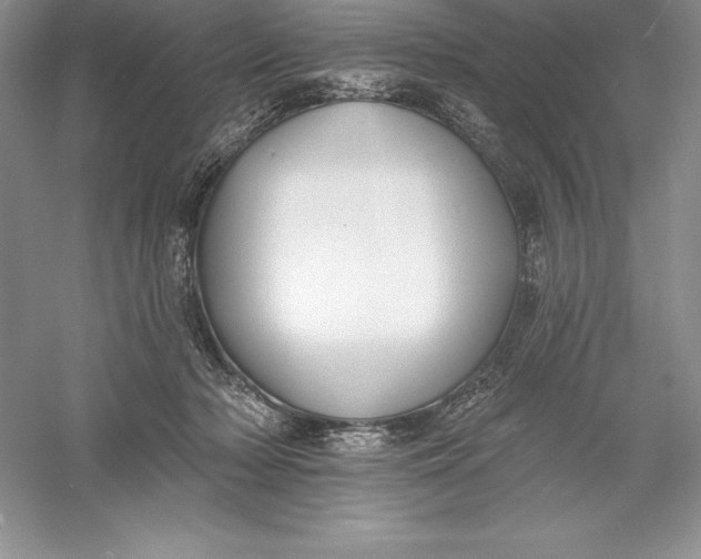 X0000055990318200509092026