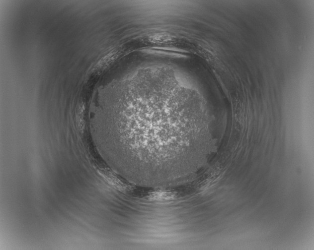 X0000055990319200509092026