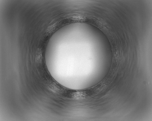 X0000055990320200509092026