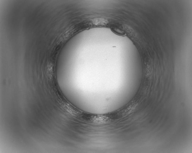 X0000055990321200509092026