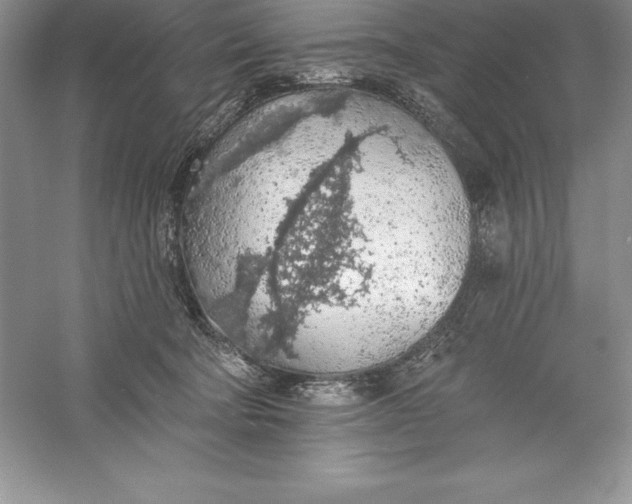 X0000055990322200509092026