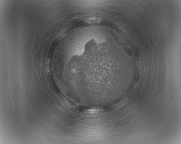 X0000055990323200509092026