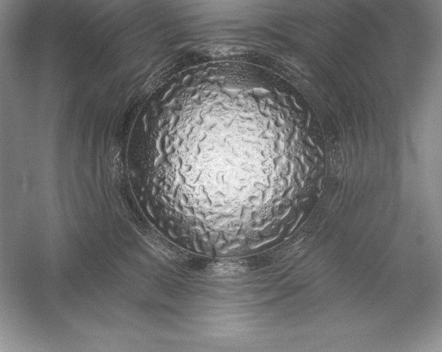 X0000055990327200509092026