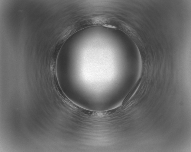 X0000055990329200509092026