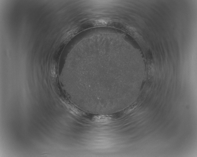 X0000055990331200509092026