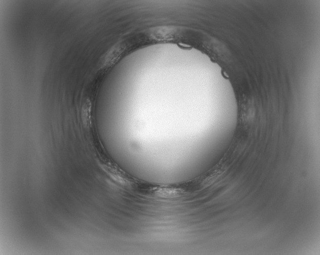 X0000055990332200509092026