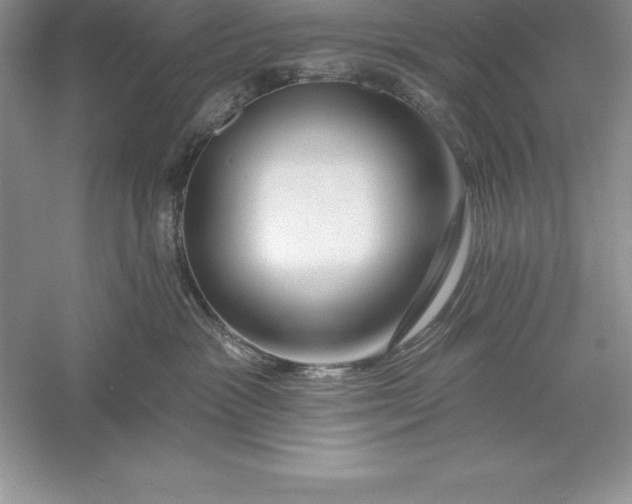 X0000055990333200509092026