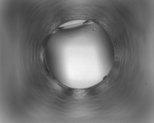 X0000055990334200509092026