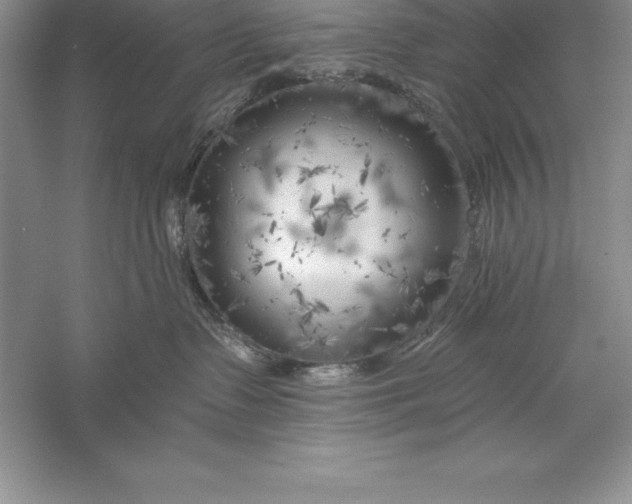 X0000055990335200509092026