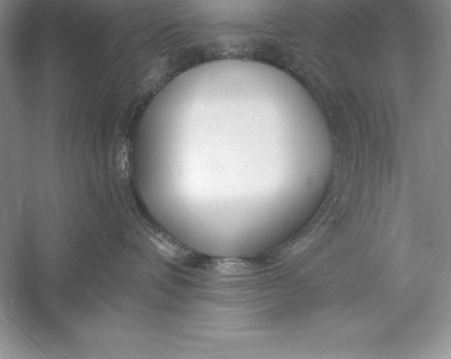 X0000055990336200509092026