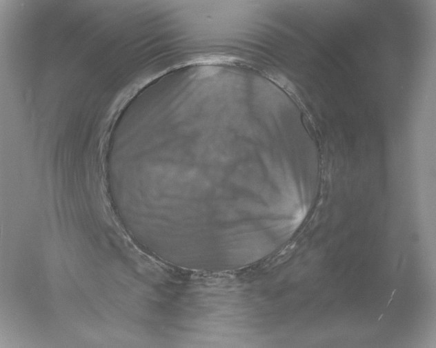 X0000055990337200509092025