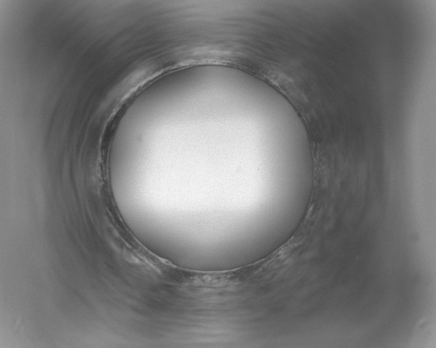 X0000055990338200509092025