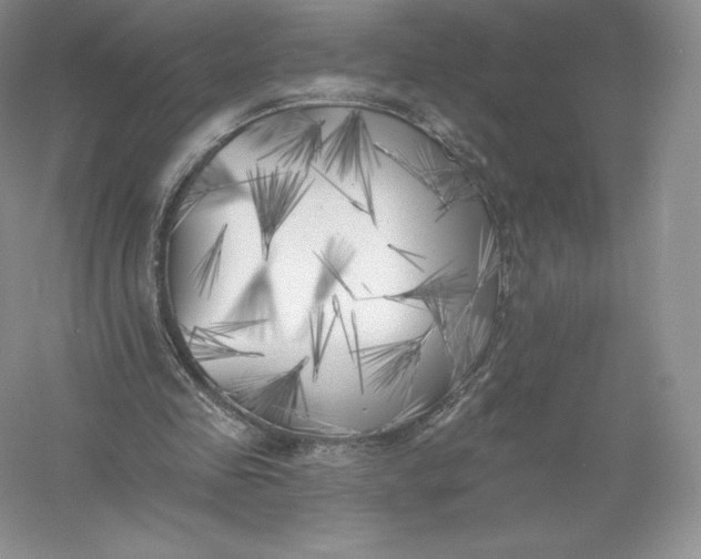 X0000055990341200509092025