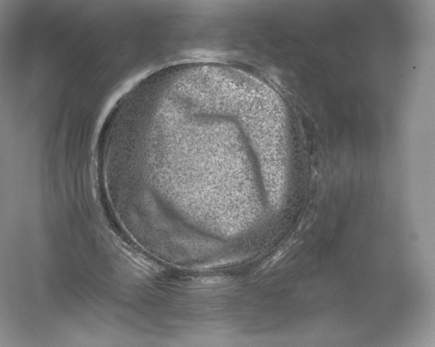 X0000055990342200509092025