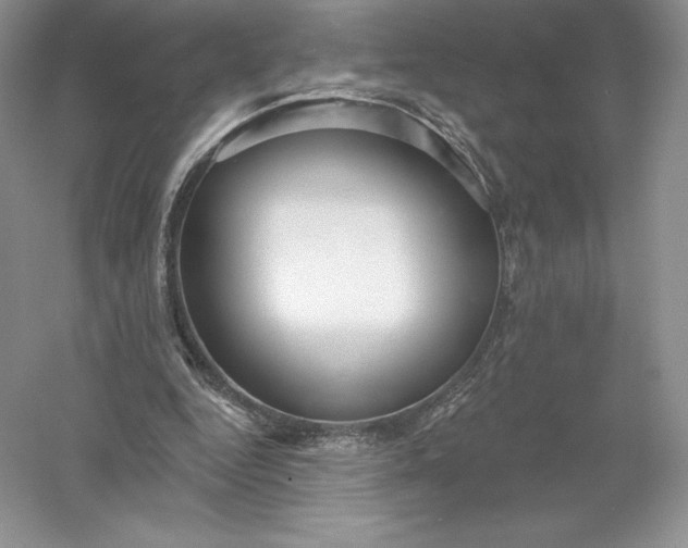 X0000055990344200509092025