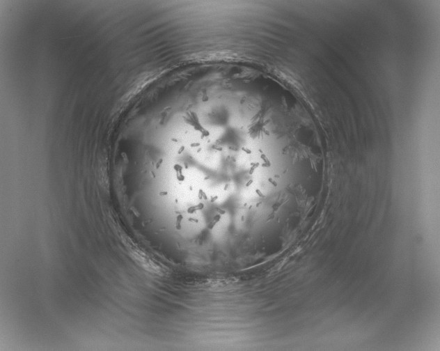 X0000055990345200509092025