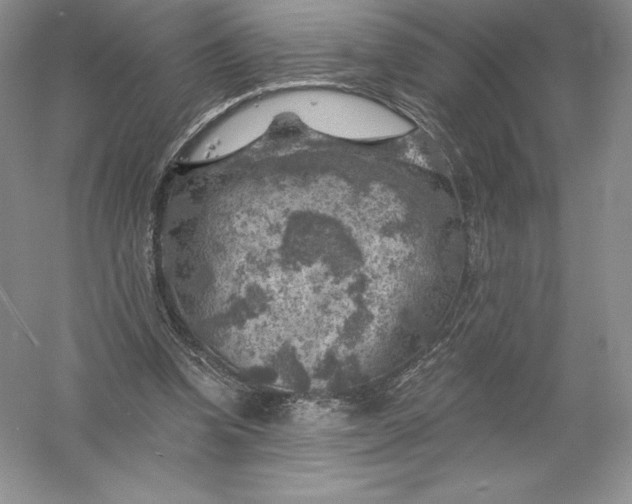 X0000055990346200509092025