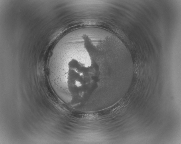 X0000055990347200509092025