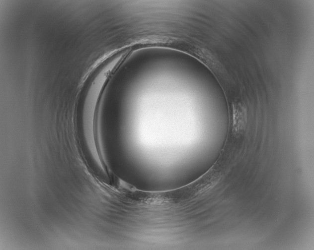 X0000055990348200509092025