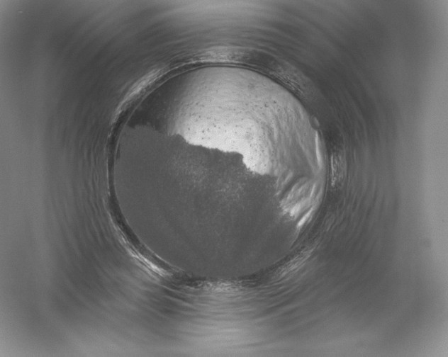 X0000055990349200509092025