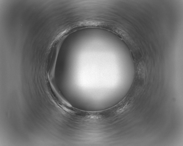 X0000055990352200509092025