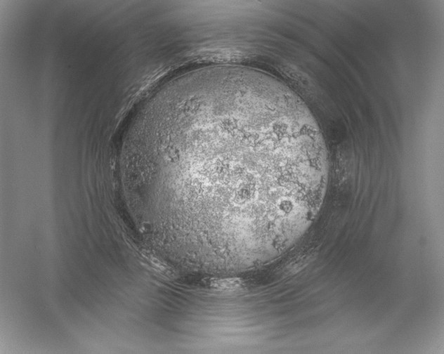 X0000055990355200509092025