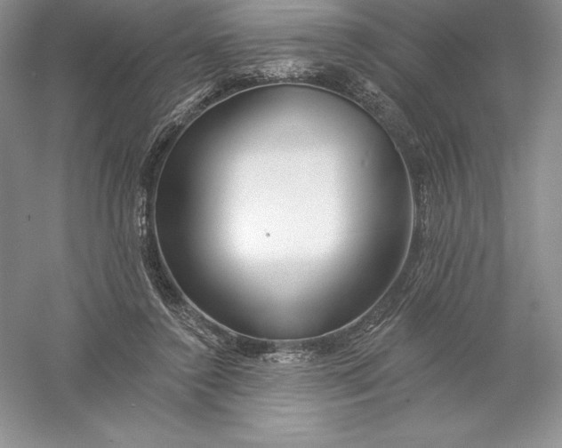 X0000055990356200509092025