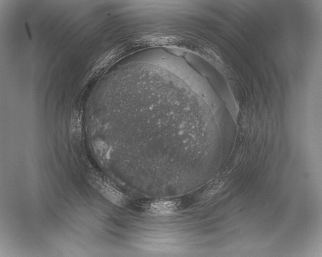 X0000055990357200509092025