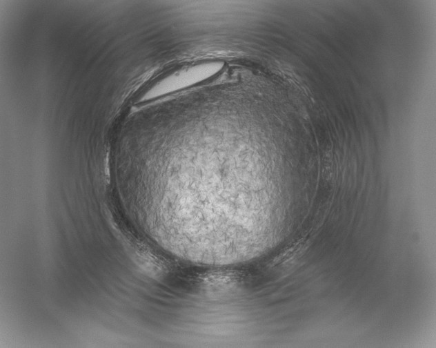 X0000055990358200509092025