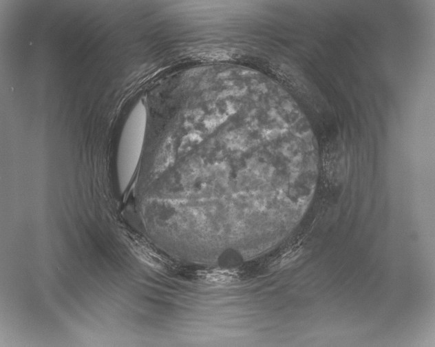 X0000055990359200509092025