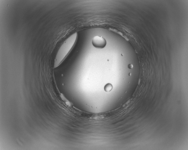 X0000055990362200509092025