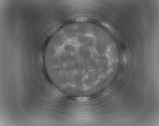 X0000055990363200509092026