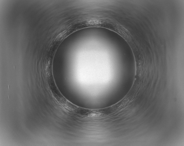 X0000055990364200509092026